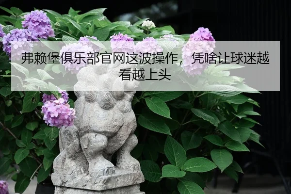 弗赖堡俱乐部官网这波操作，凭啥让球迷越看越上头