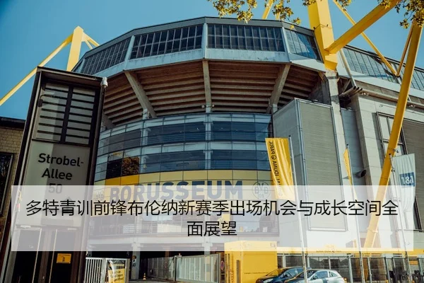 多特青训前锋布伦纳新赛季出场机会与成长空间全面展望